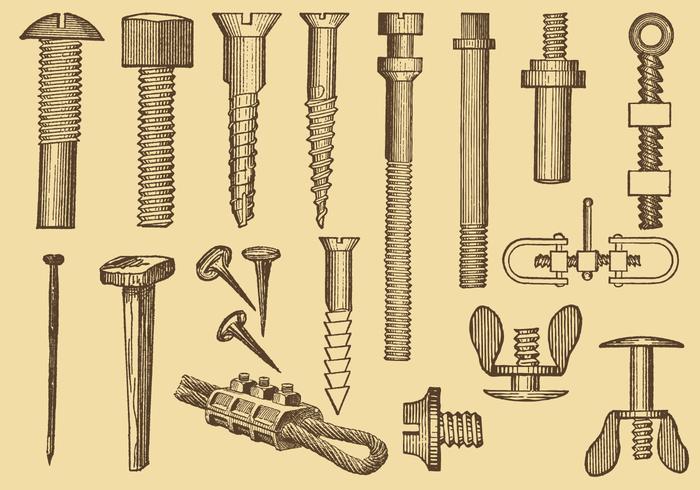 Screw And Nail Drawings vector