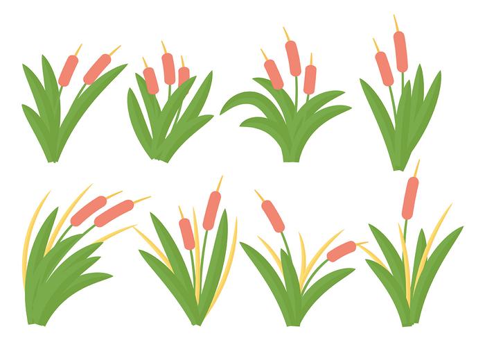 Cattails icono gratis Vector