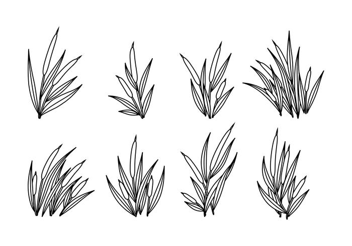 Cattails Vector Outline