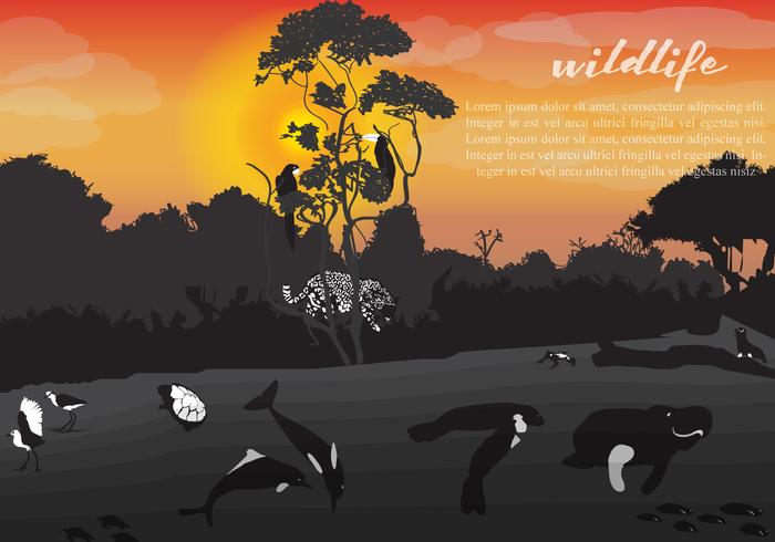 Amazon Sunset Life vector