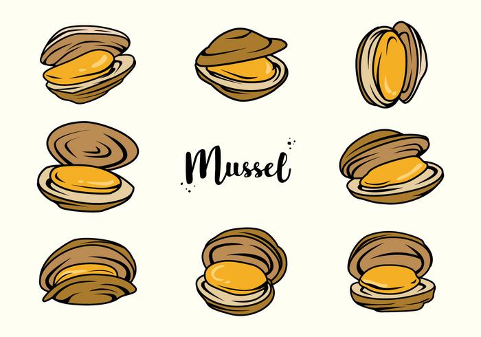 Free Mussel Vector