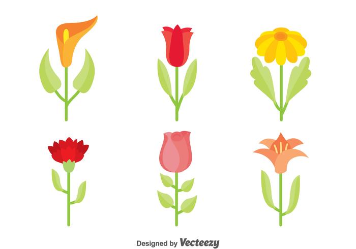 Beautiful Flowers Collection Vector