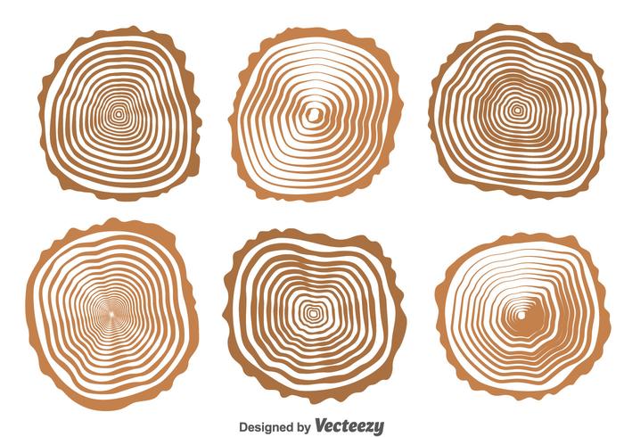 Wood Logs Collection Vector