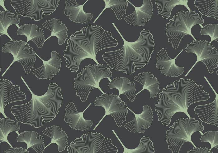 Ginko Leaf Pattern vector