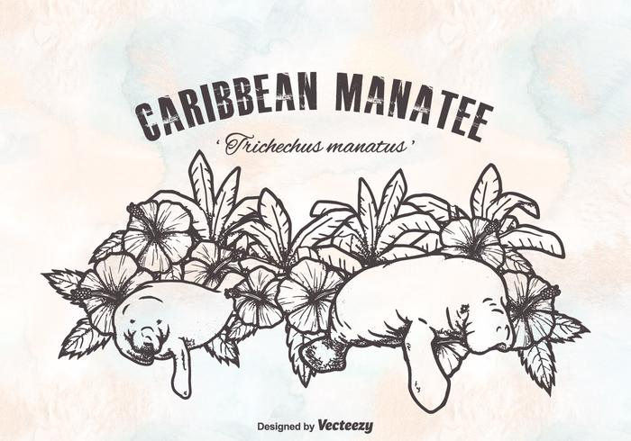 Free Caribbean Manatees Vector Design