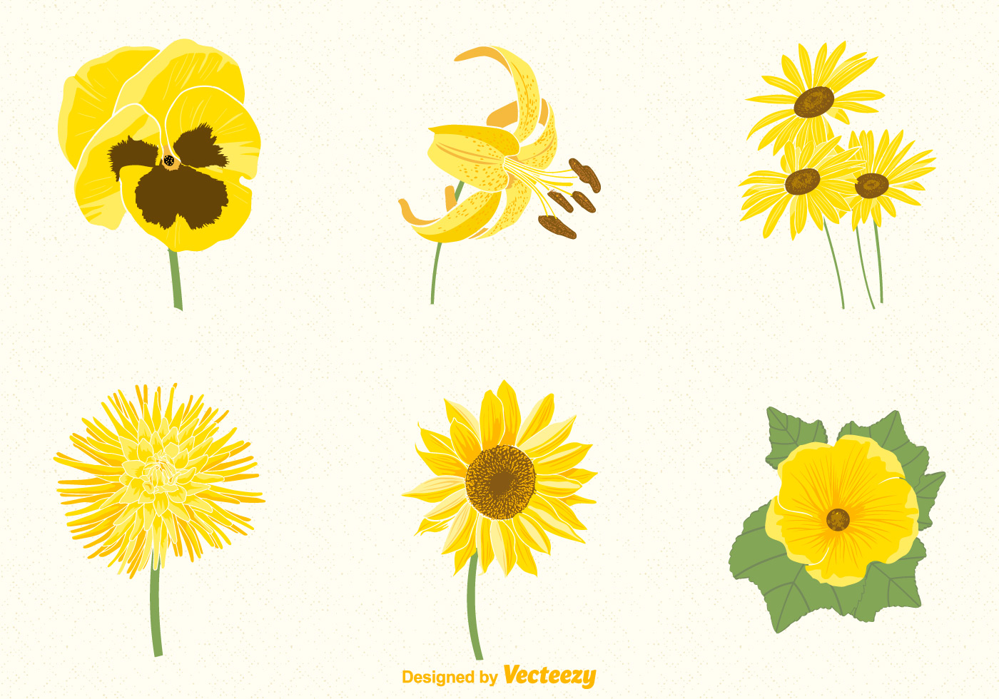 Free Yellow Flowers Vector Set 122094 Vector Art at Vecteezy
