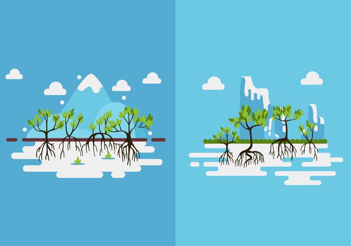 Mangrove trees green flat design vector