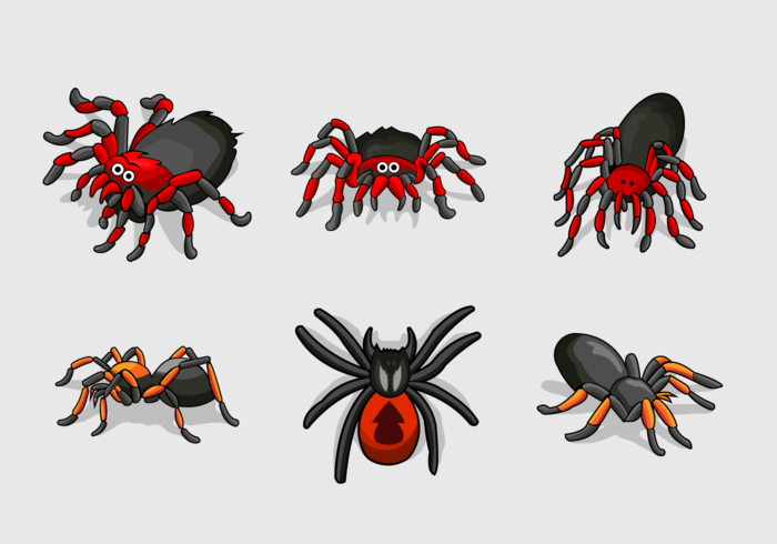 Tarantula color vector pack