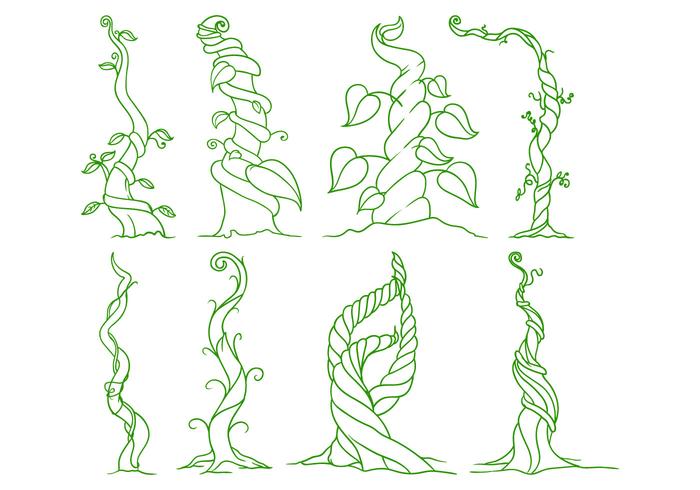 Free Beanstalk Illustration Vector Free Beanstalk Illustration Vector