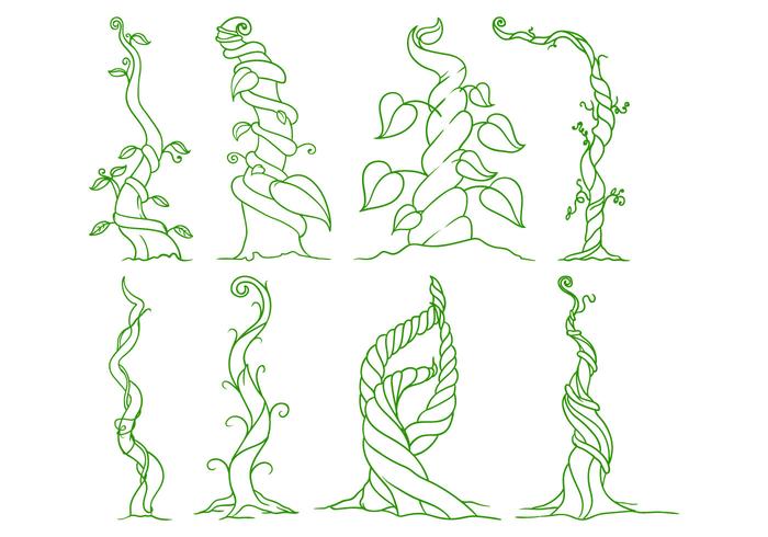 Beanstalk ilustración vectorial gratis vector