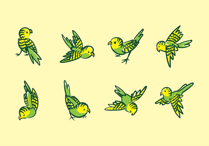 Budgie Cartoon Vector