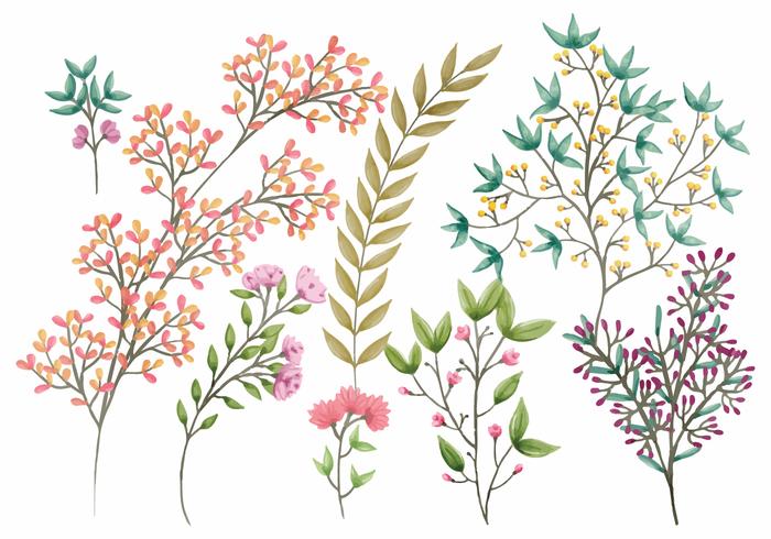 Boho Vector Floral Elements Boho Vector Floral Elements