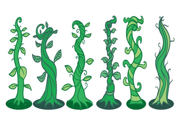 Beanstalk Vector Beanstalk Vector