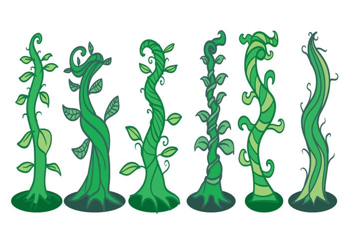 Vector Beanstalk