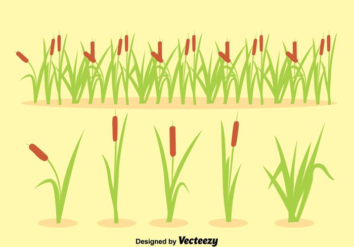 Reeds Collection Vector