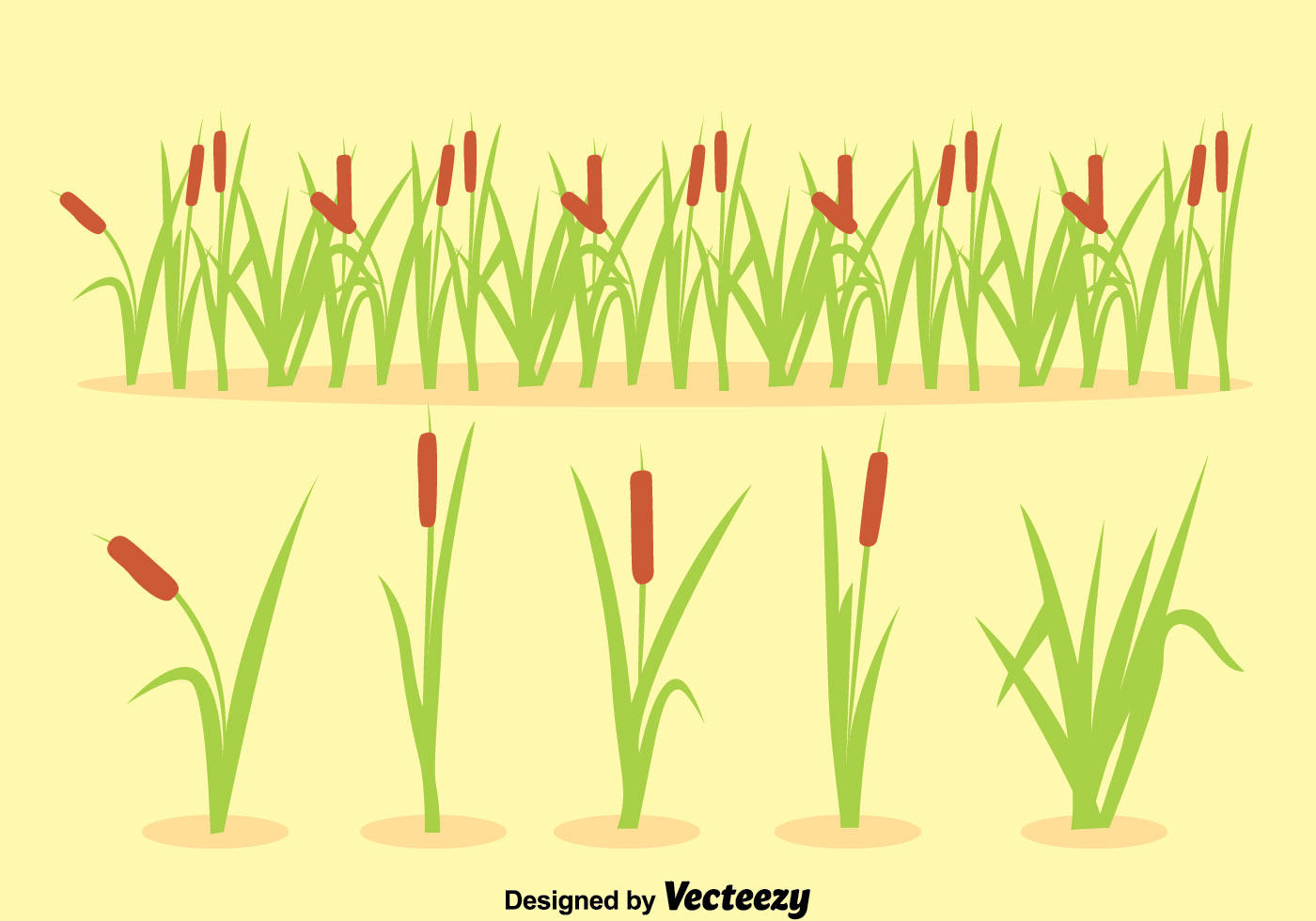 Download Reeds Collection Vector - Download Free Vectors, Clipart Graphics & Vector Art