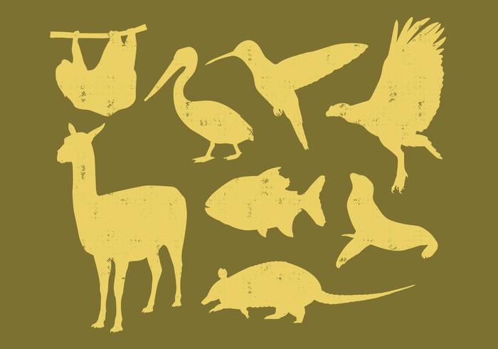 Animals of South America vector