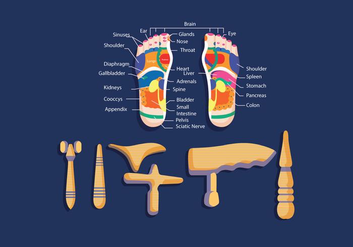 Reflexology Equipment Vector