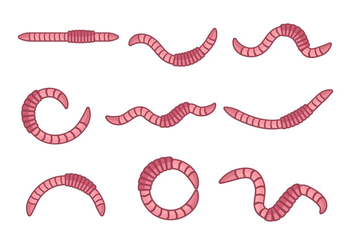 Free Earthworm Animal Vector Free Earthworm Animal Vector