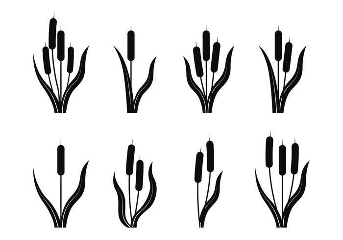 Cattails Silhouette vector