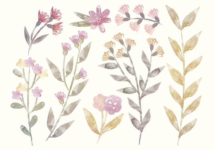 Vector Watercolor Floral Elements