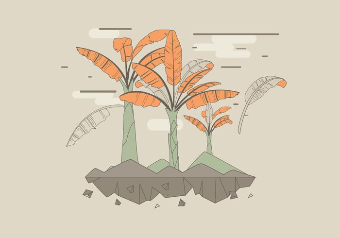 Banana Tree Vector