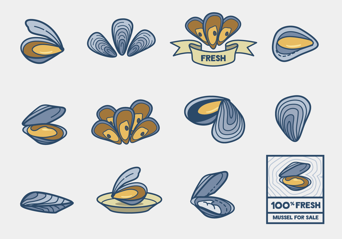 Mussel Vector Pack