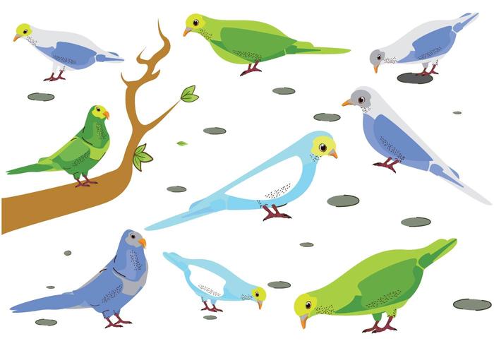 Free Budgie Birds Vector