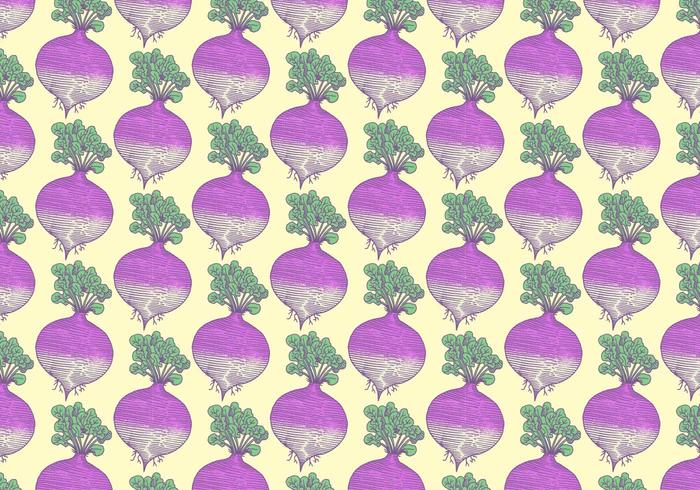 Rutabaga Vegetable Pattern vector