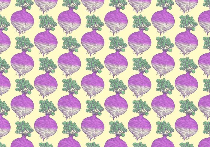 Rutabaga Vegetable Pattern vector