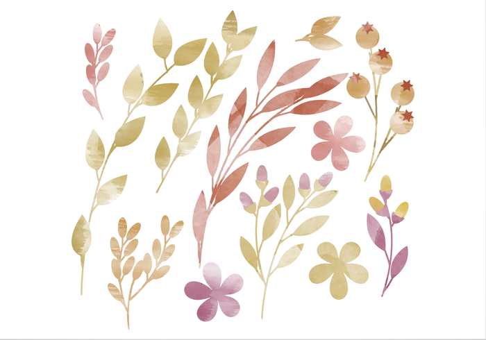 Vector Watercolor Floral Elements