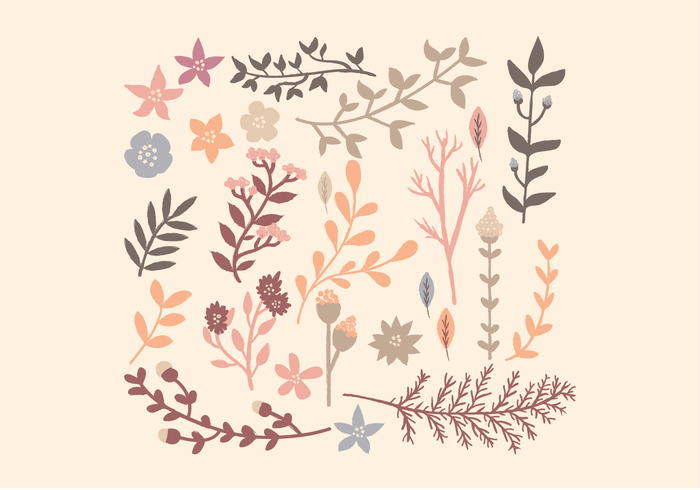 Vector Floral Elements