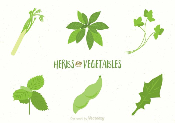 Vegetales Y Hierbas Vectores Gratis