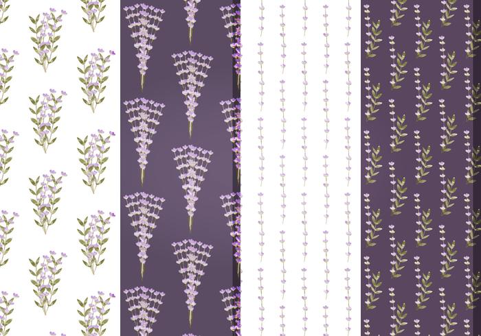 Vector Lavender Floral Patterns Vector Lavender Floral Patterns