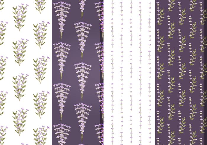 Vector floral de lavanda patrones