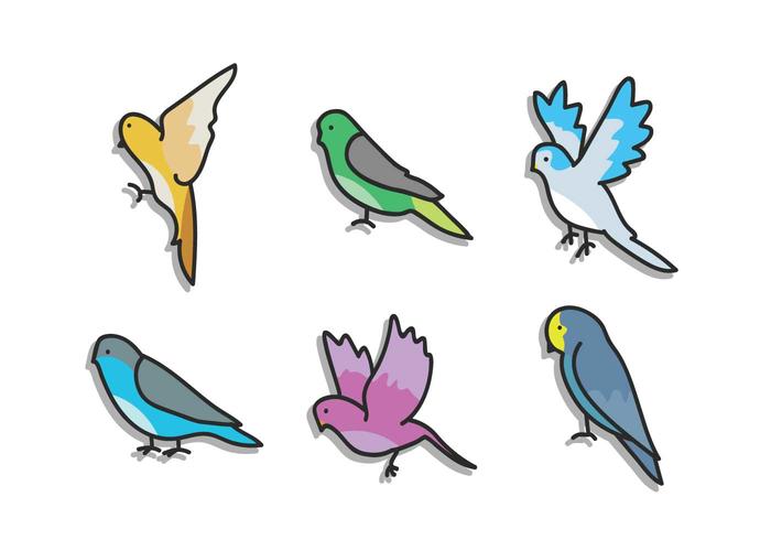 Budgie Vector