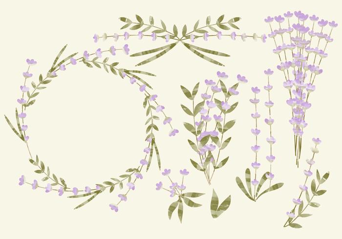 Vector Watercolor Lavender