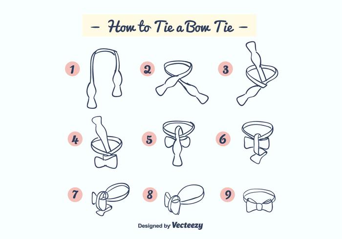 How to Tie a Bow Tie Vector