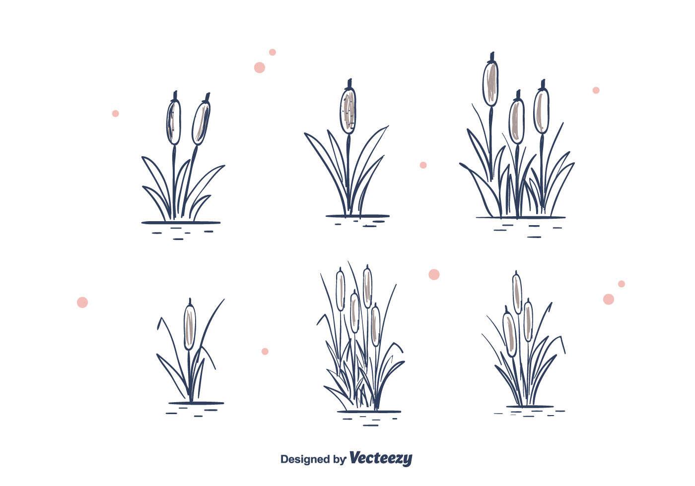 Download Hand Drawn Cattails Vector - Download Free Vectors ...