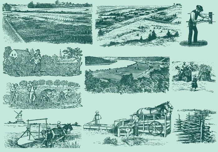 Farming Activities vector