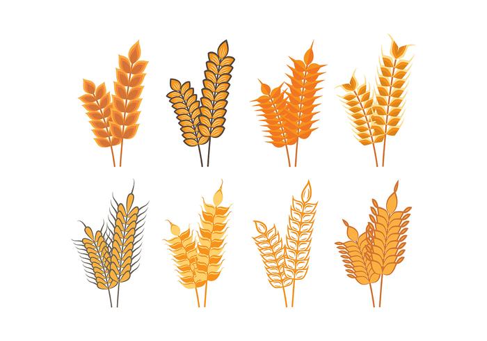 Harvest Oat Icons vector