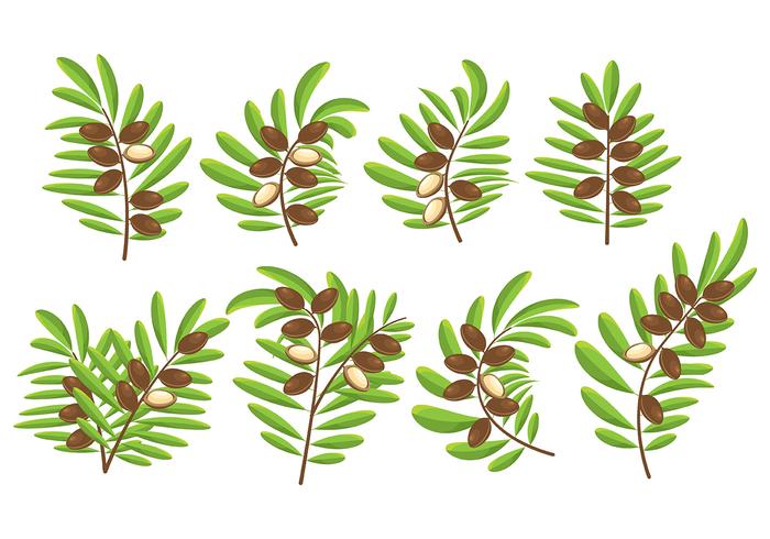 Argan Icons Argan Icons