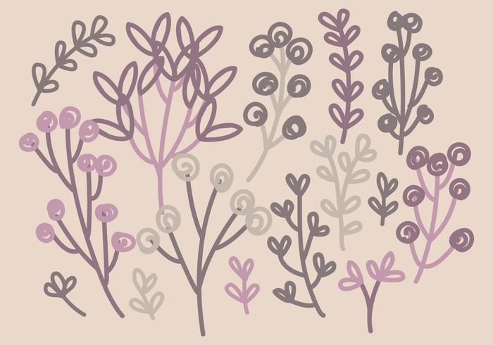 Vector Hand Drawn Branches