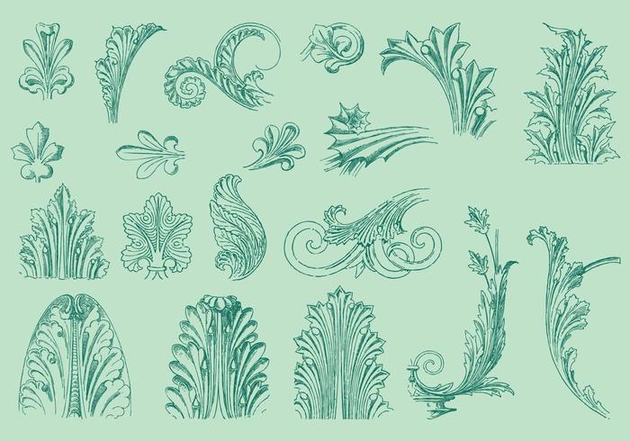 Línea fina Acanthus Decor vector