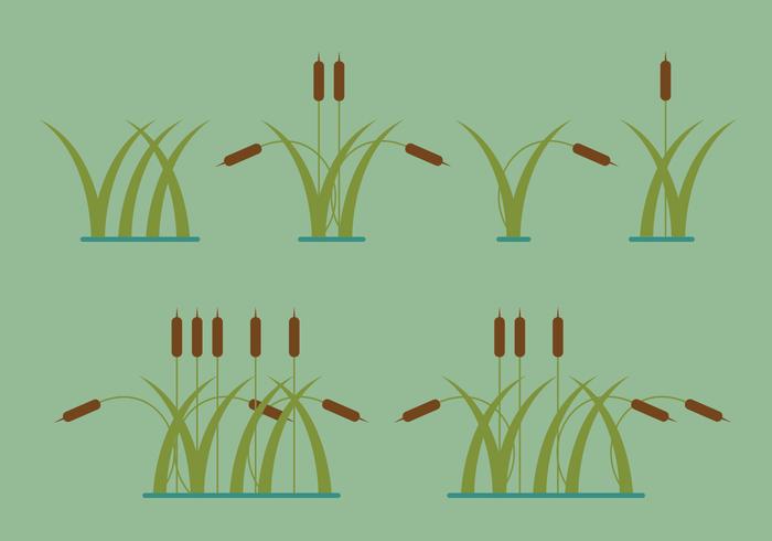 Reeds Vector Illustrations Reeds Vector Illustrations