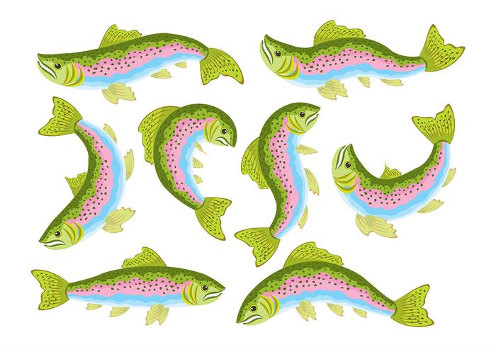 Rainbow Trout Icons vector