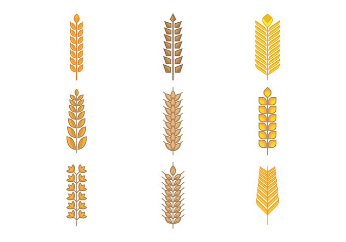 Free Types of Grains, Cereal, and Oats Vector Free Types of Grains, Cereal, and Oats Vector