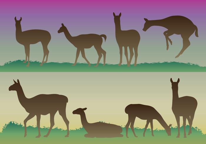 Guanaco Siluetas vector