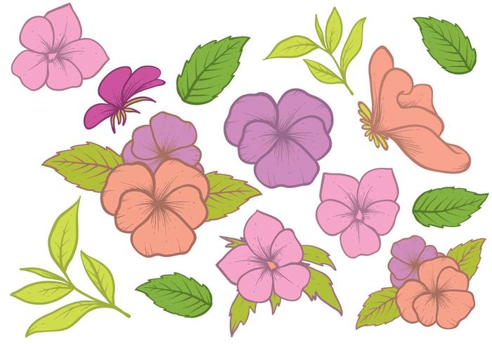 Mano libre dibujado Pansy Vector