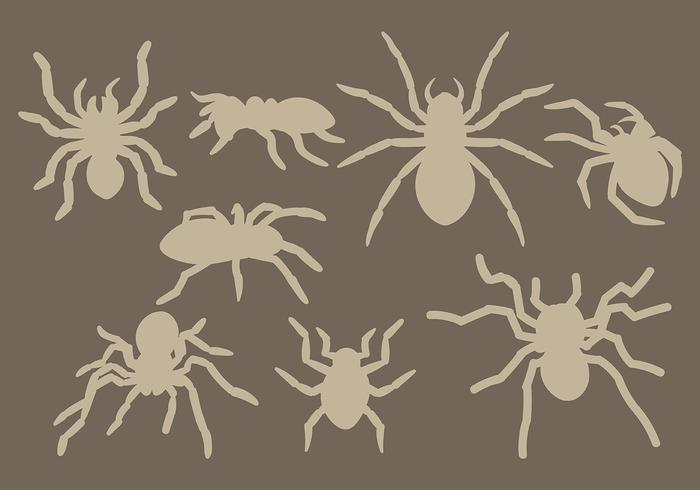 Libre Tarantula Icons Vector